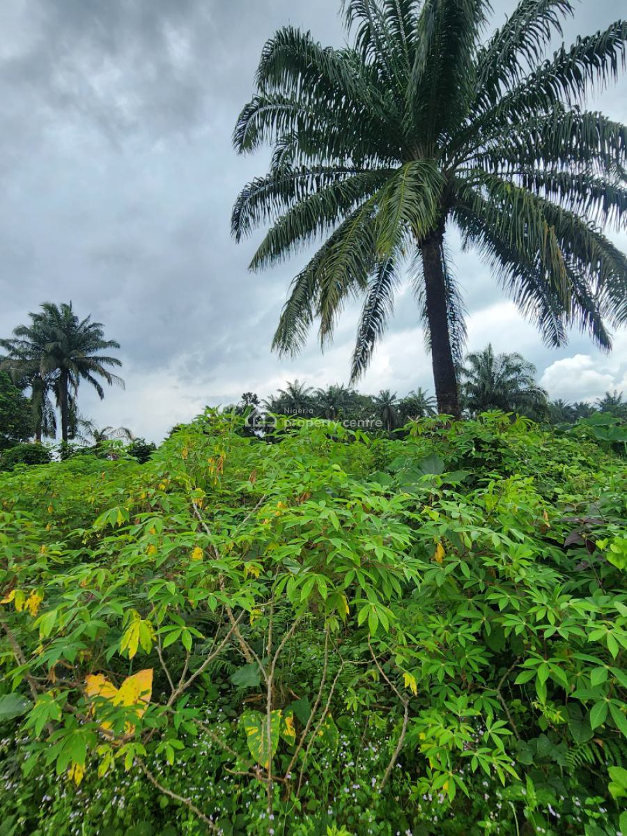 Strategically Located Plot of Land, Shelter Afrique Estate Extension, Uyo, Akwa Ibom, Residential Land for Sale