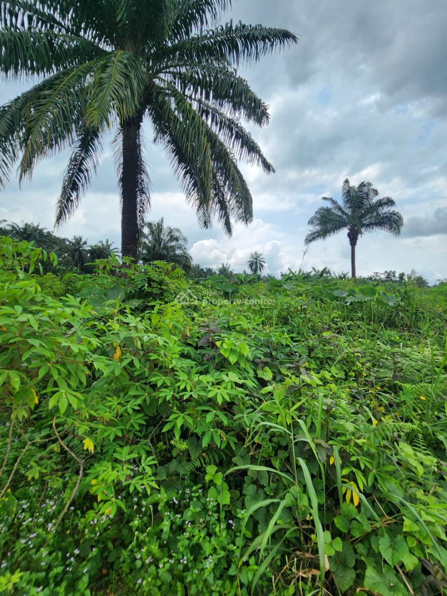 Strategically Located Plot of Land, Shelter Afrique Estate Extension, Uyo, Akwa Ibom, Residential Land for Sale
