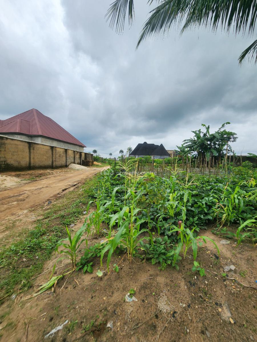 Fantastic Plot of Dry Land, Ifa Ikot Okpon, Uyo, Akwa Ibom, Residential Land for Sale