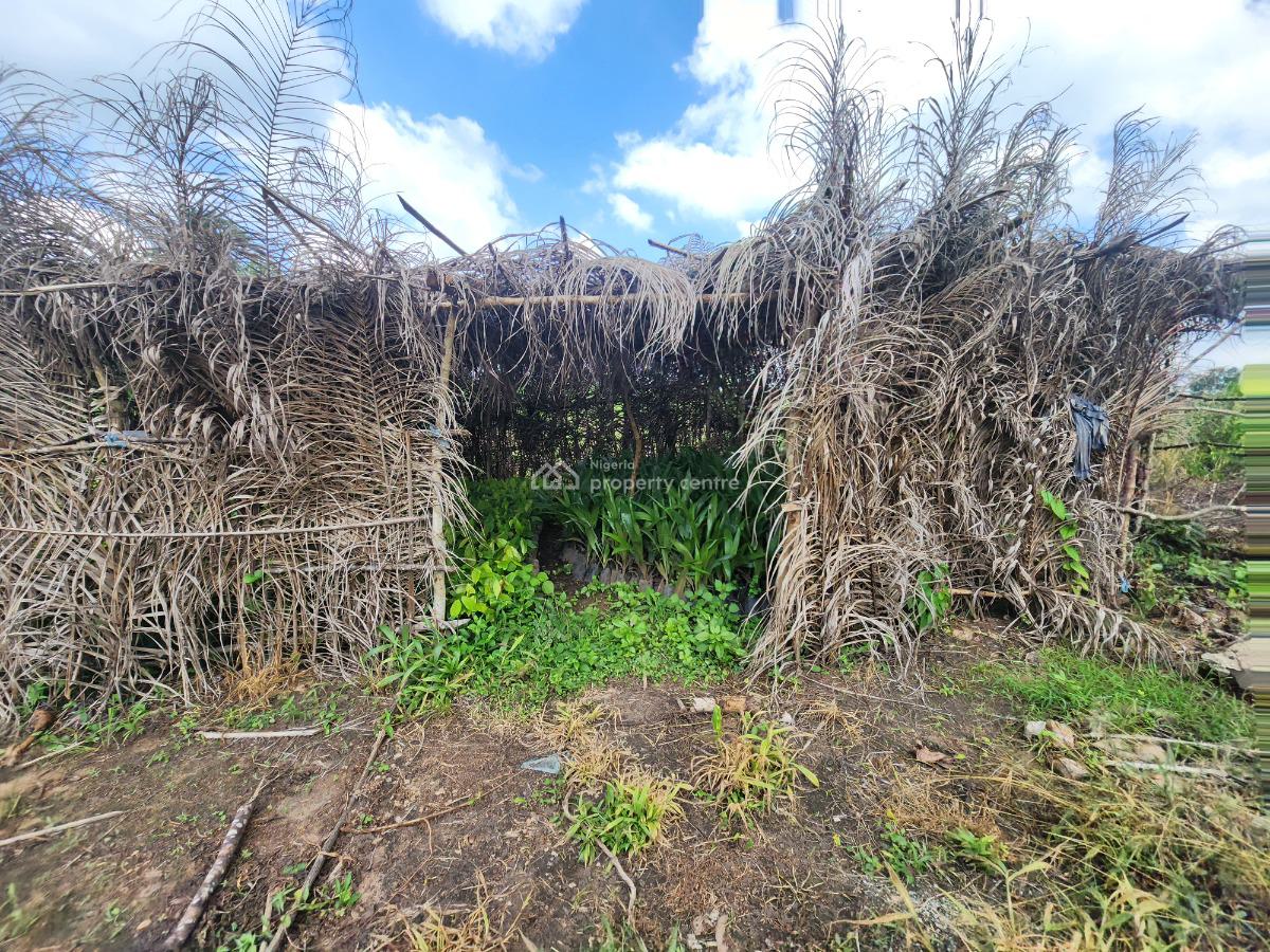 Invest Once, Harvest Profits for Years, Off Funaab, Alabata Road, Odeda, Ogun, Mixed-use Land for Sale