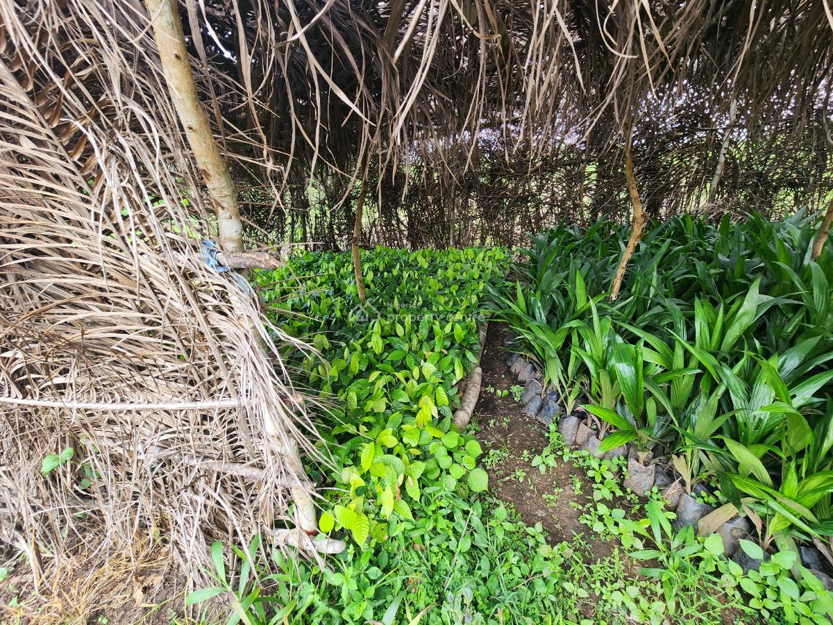 Own Farmland in a Secured and Productive Estate, Off Funaab, Alabata Road, Odeda, Ogun, Mixed-use Land for Sale