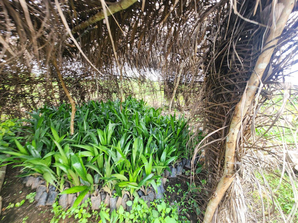 Farm Without Stress and Earn Big Returns, Off Funaab, Alabata Road, Odeda, Ogun, Mixed-use Land for Sale