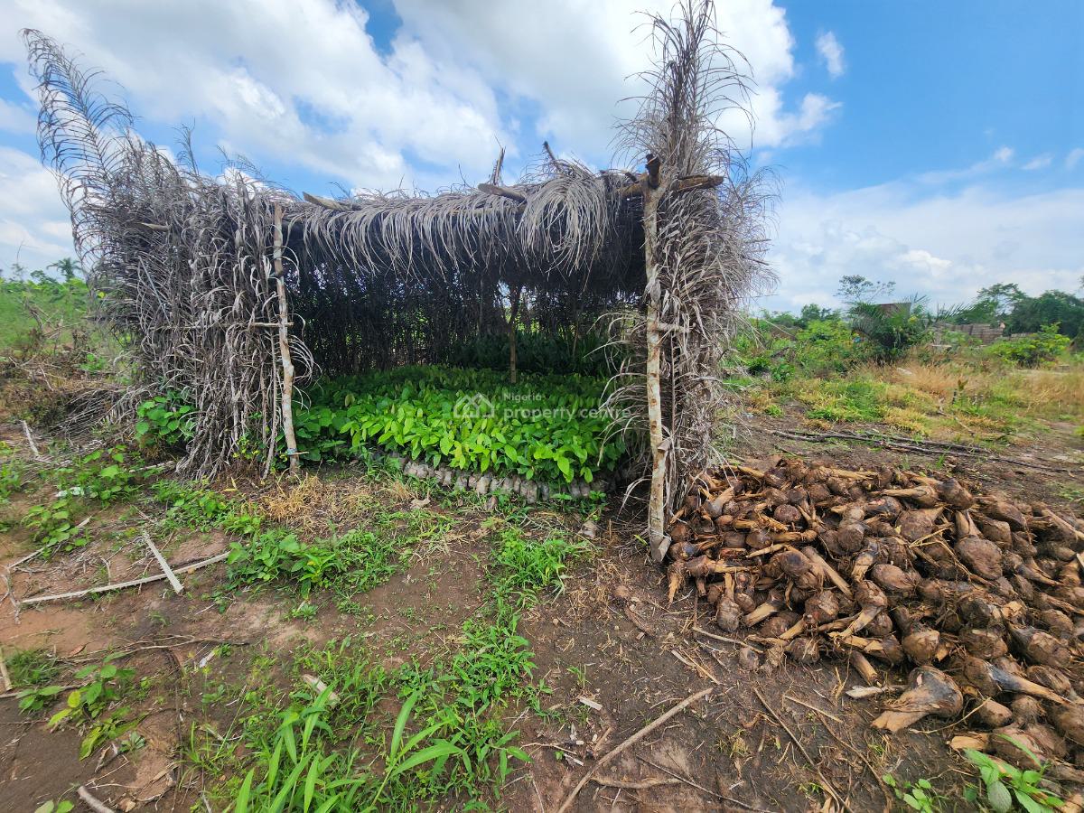 Join Hundreds of Investors Making Millions From Farmland, Off Funaab, Alabata Road, Odeda, Ogun, Mixed-use Land for Sale