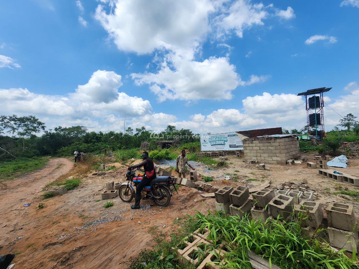 Farmland That Pays You Every Harvest Season, Off Funaab, Alabata Road, Odeda, Ogun, Mixed-use Land for Sale