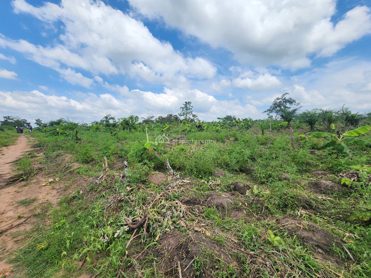 Let Your Money Work for You Through Agriculture, Off Funaab, Alabata Road, Odeda, Ogun, Mixed-use Land for Sale