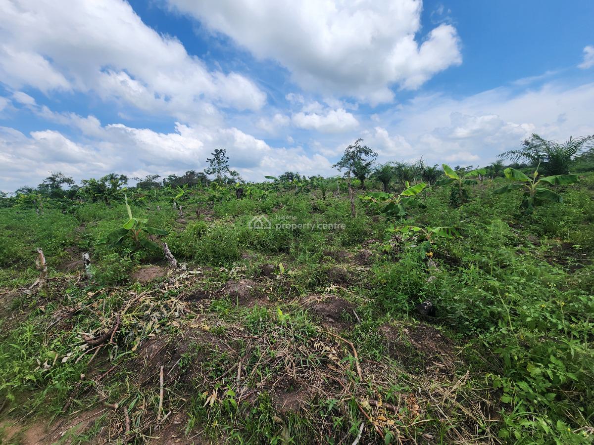 Let Your Money Work for You Through Agriculture, Off Funaab, Alabata Road, Odeda, Ogun, Mixed-use Land for Sale