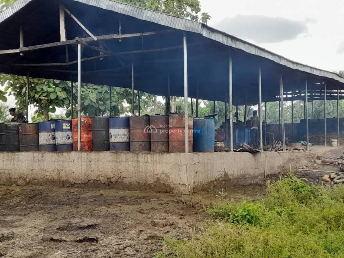 Palm Oil Plantation, Ibadan, Oyo, Commercial Property for Sale