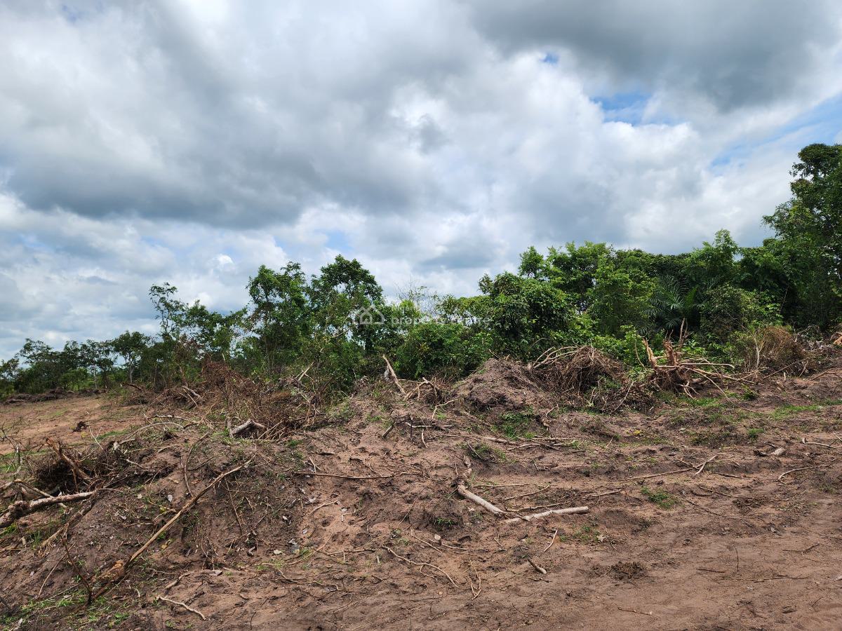 Multiply Your Investment Through Farmland Ownership, Off Funaab, Alabata Road, Odeda, Ogun, Mixed-use Land for Sale