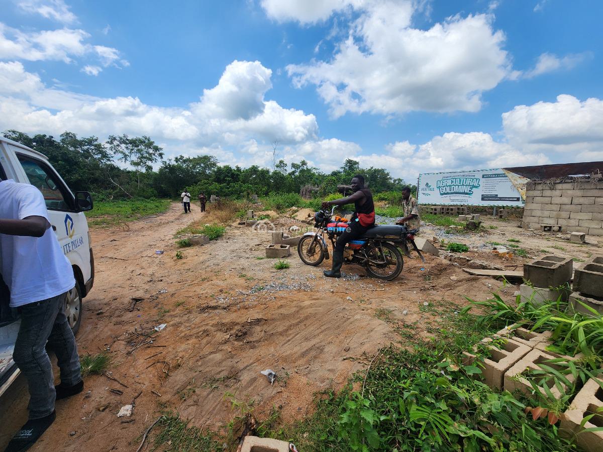 Multiply Your Investment Through Farmland Ownership, Off Funaab, Alabata Road, Odeda, Ogun, Mixed-use Land for Sale