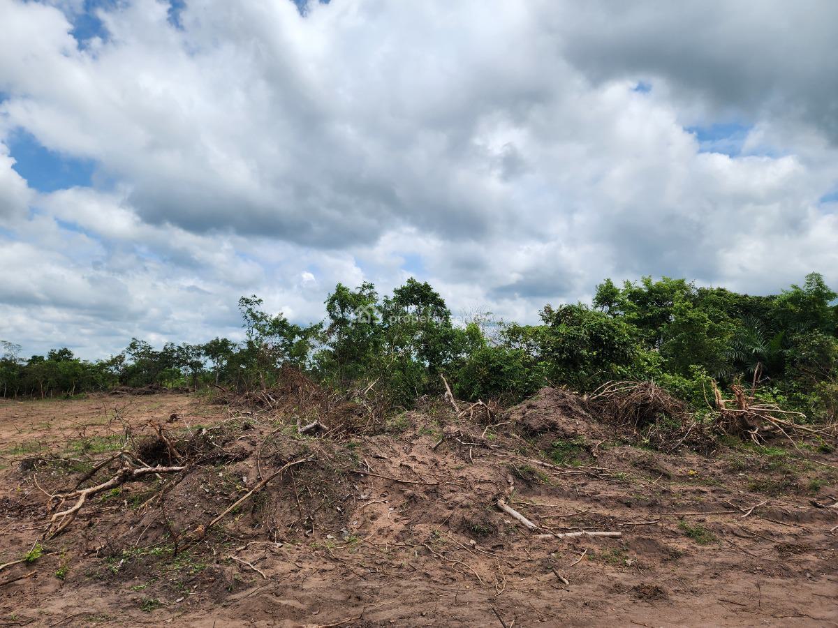 Make Your Money Work for You Through Farmland Investment, Off Funaab, Alabata Road, Odeda, Ogun, Mixed-use Land for Sale
