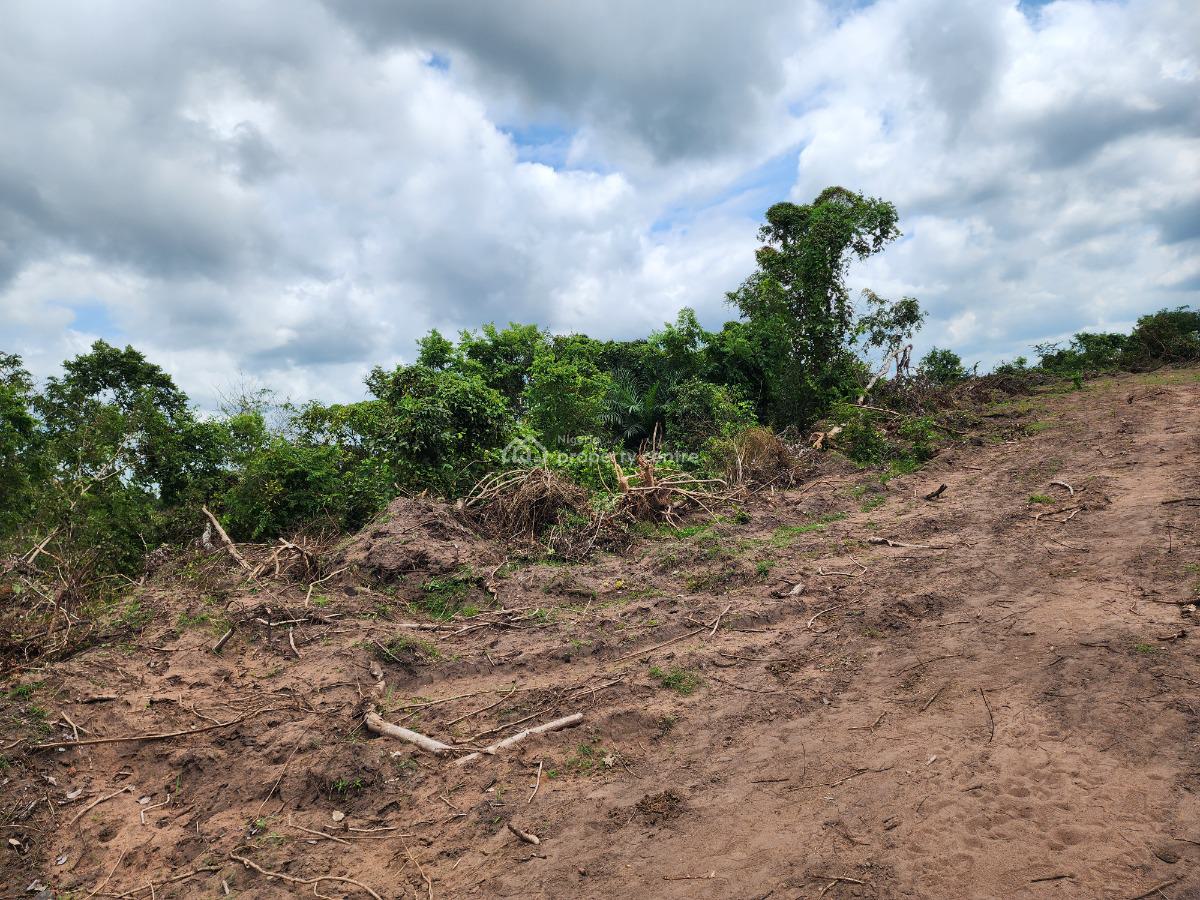 Make Your Money Work for You Through Farmland Investment, Off Funaab, Alabata Road, Odeda, Ogun, Mixed-use Land for Sale