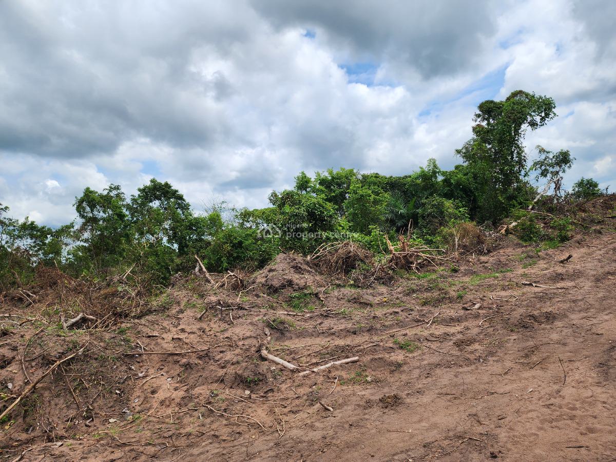 Make Your Money Work for You Through Farmland Investment, Off Funaab, Alabata Road, Odeda, Ogun, Mixed-use Land for Sale