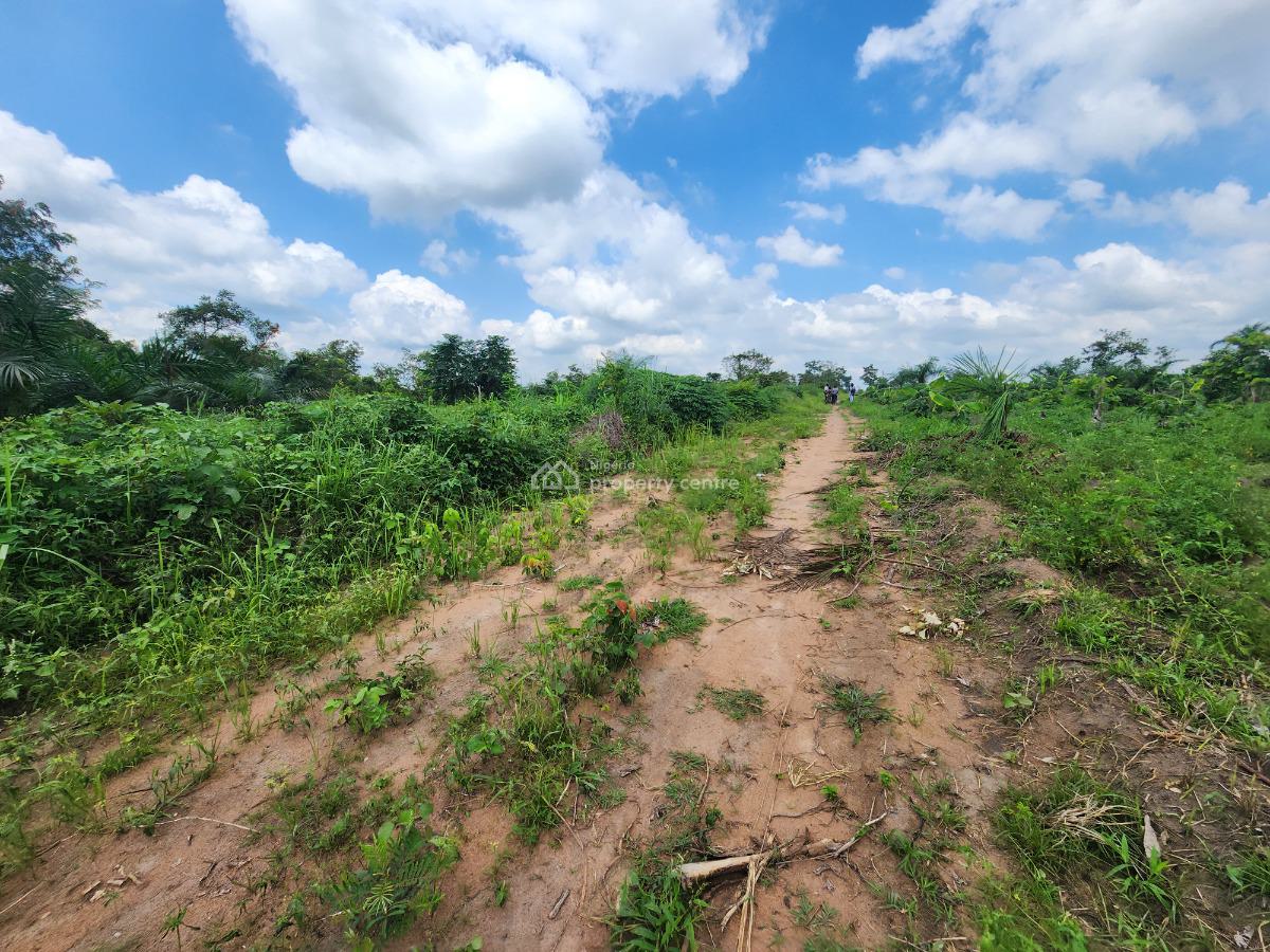 Secure a Farmland That Pays You Season After Season, Off Funaab, Alabata Road, Odeda, Ogun, Mixed-use Land for Sale