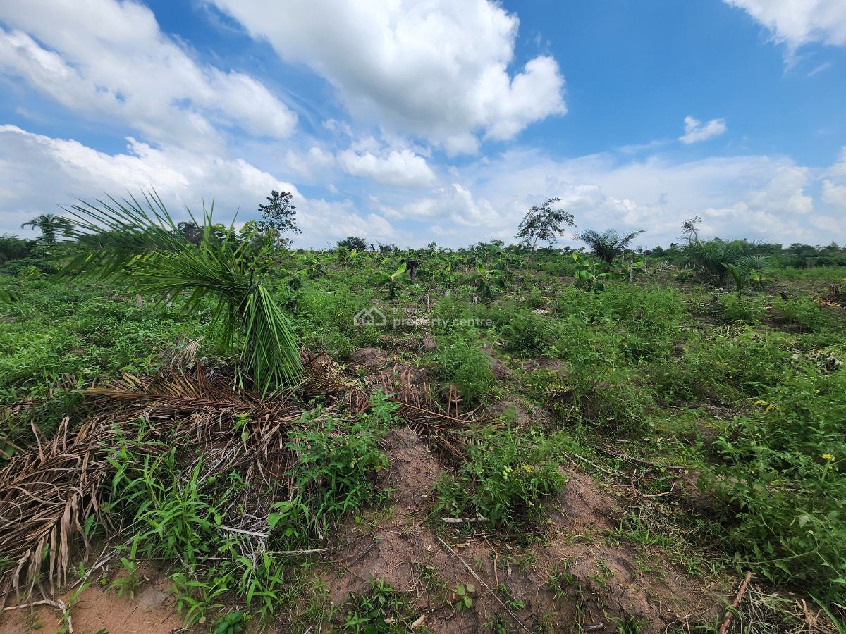 Secure a Farmland That Pays You Season After Season, Off Funaab, Alabata Road, Odeda, Ogun, Mixed-use Land for Sale