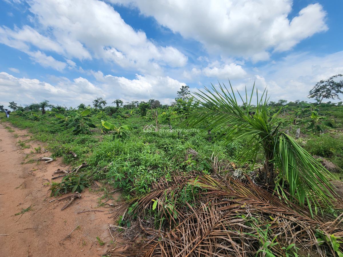 Invest Once and Earn Continuously From Every Harvest, Off Funaab, Alabata Road, Odeda, Ogun, Mixed-use Land for Sale