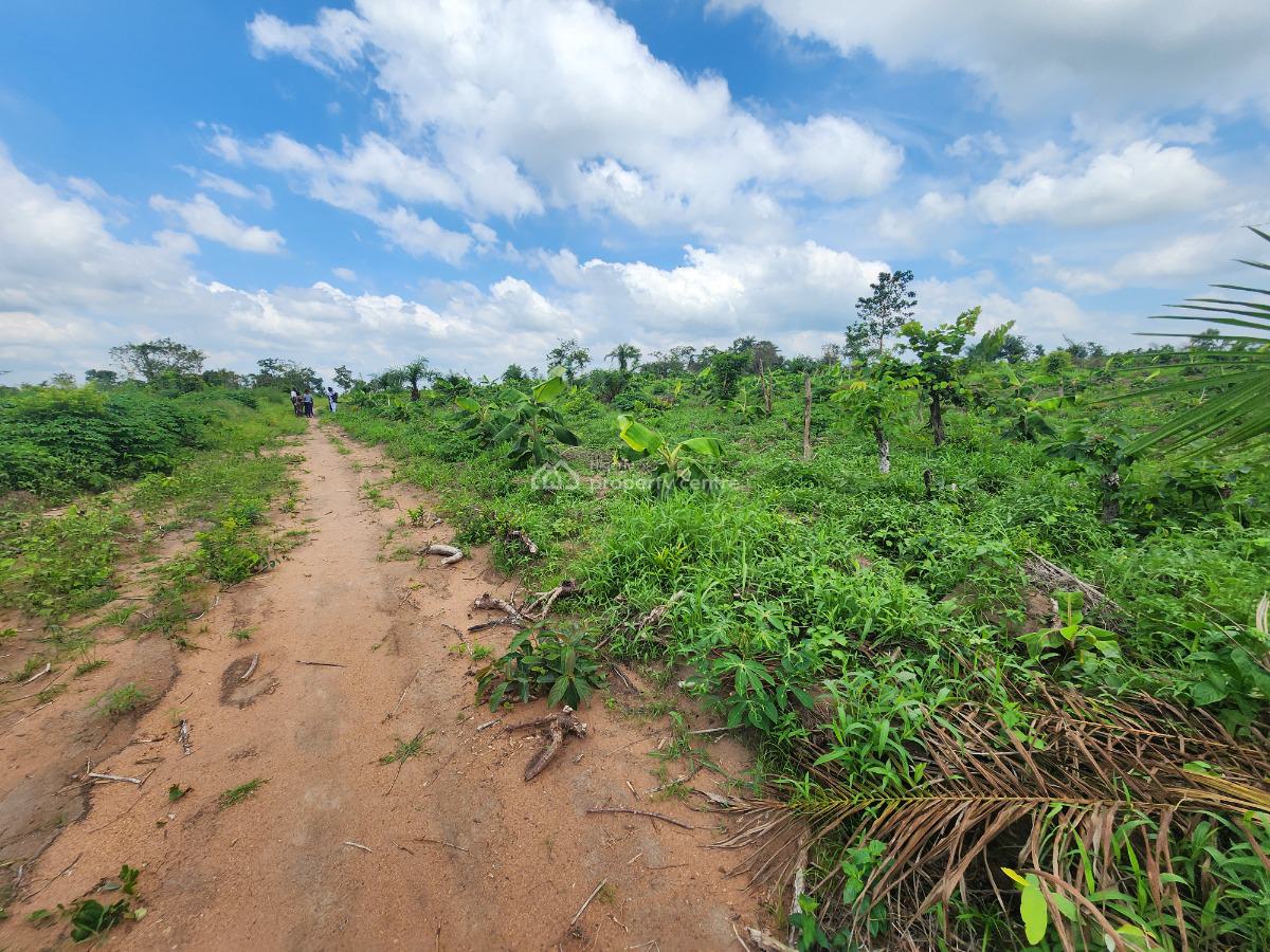 Invest Once and Earn Continuously From Every Harvest, Off Funaab, Alabata Road, Odeda, Ogun, Mixed-use Land for Sale