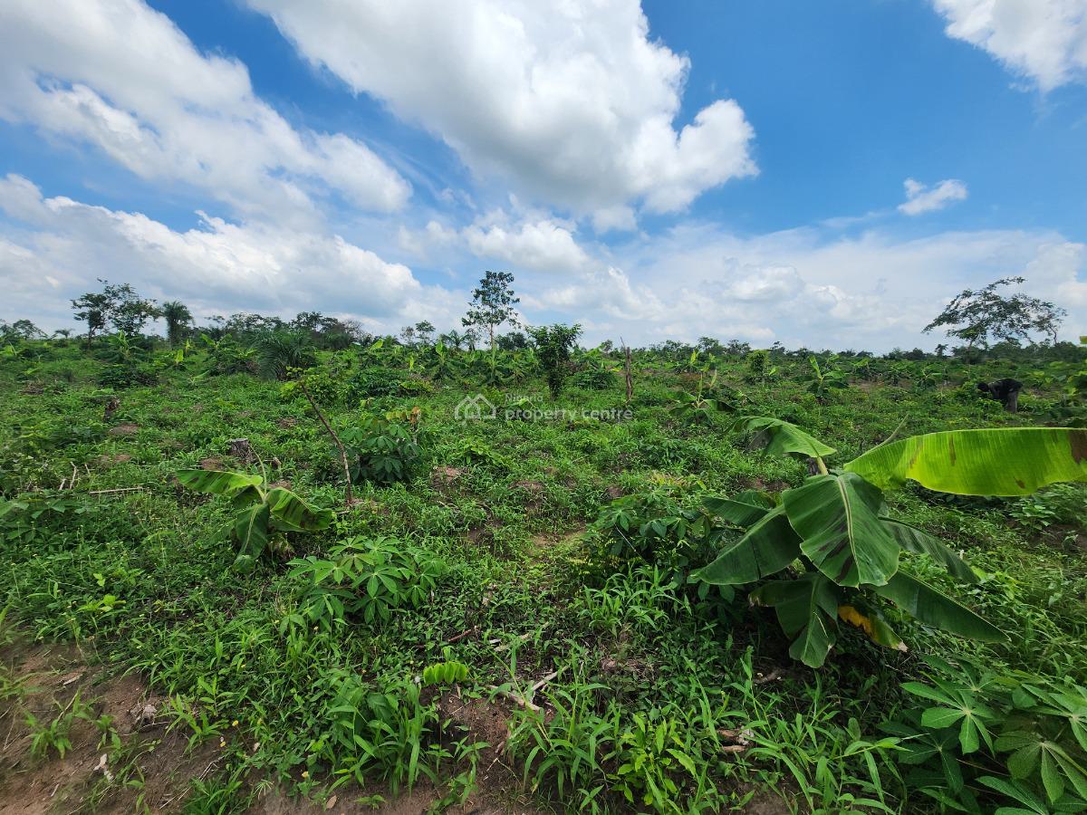 Invest Once and Earn Continuously From Every Harvest, Off Funaab, Alabata Road, Odeda, Ogun, Mixed-use Land for Sale