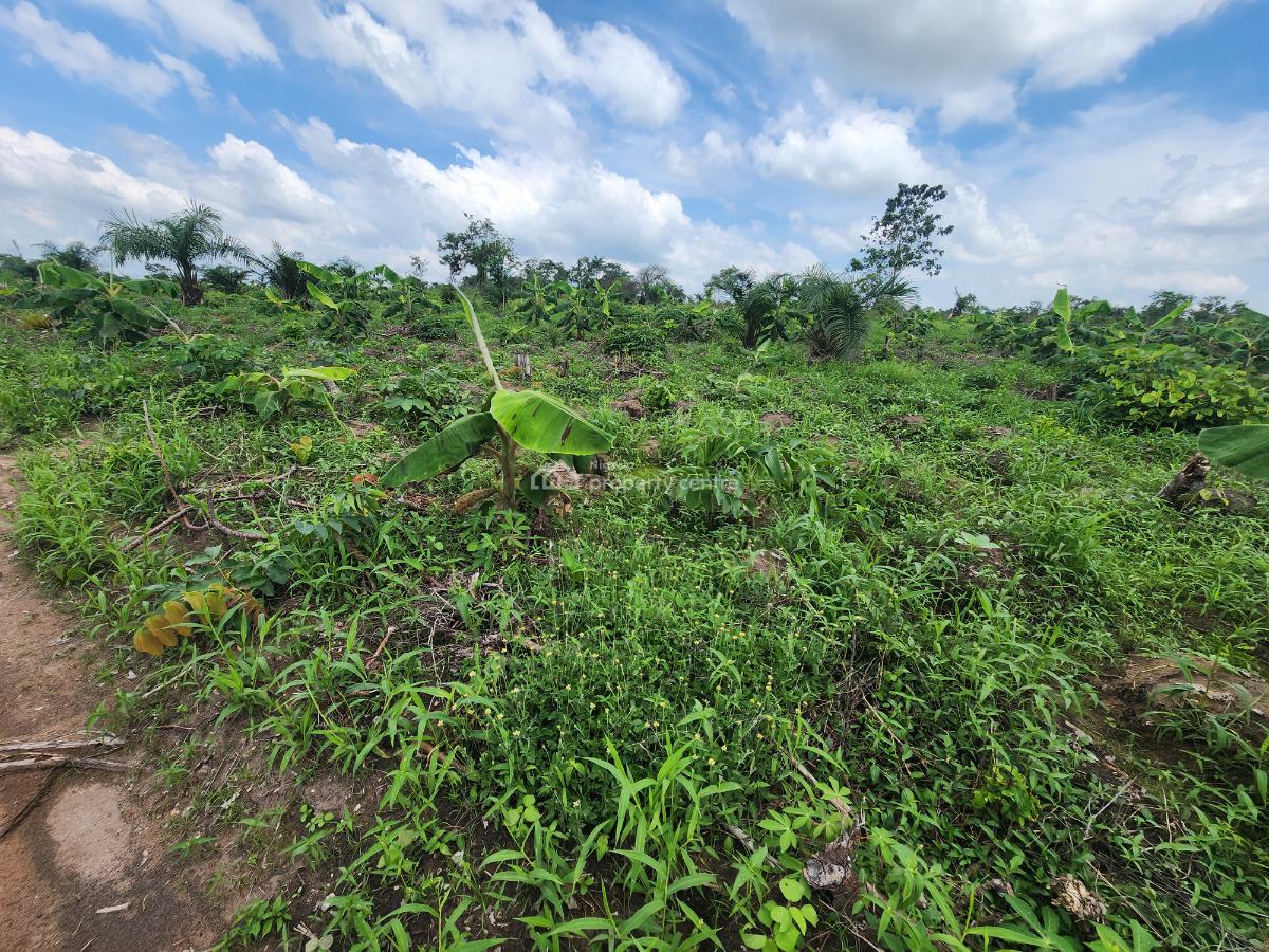 Earn Consistent Returns From Agriculture Without Daily Involvement, Off Funaab, Alabata Road, Odeda, Ogun, Mixed-use Land for Sale