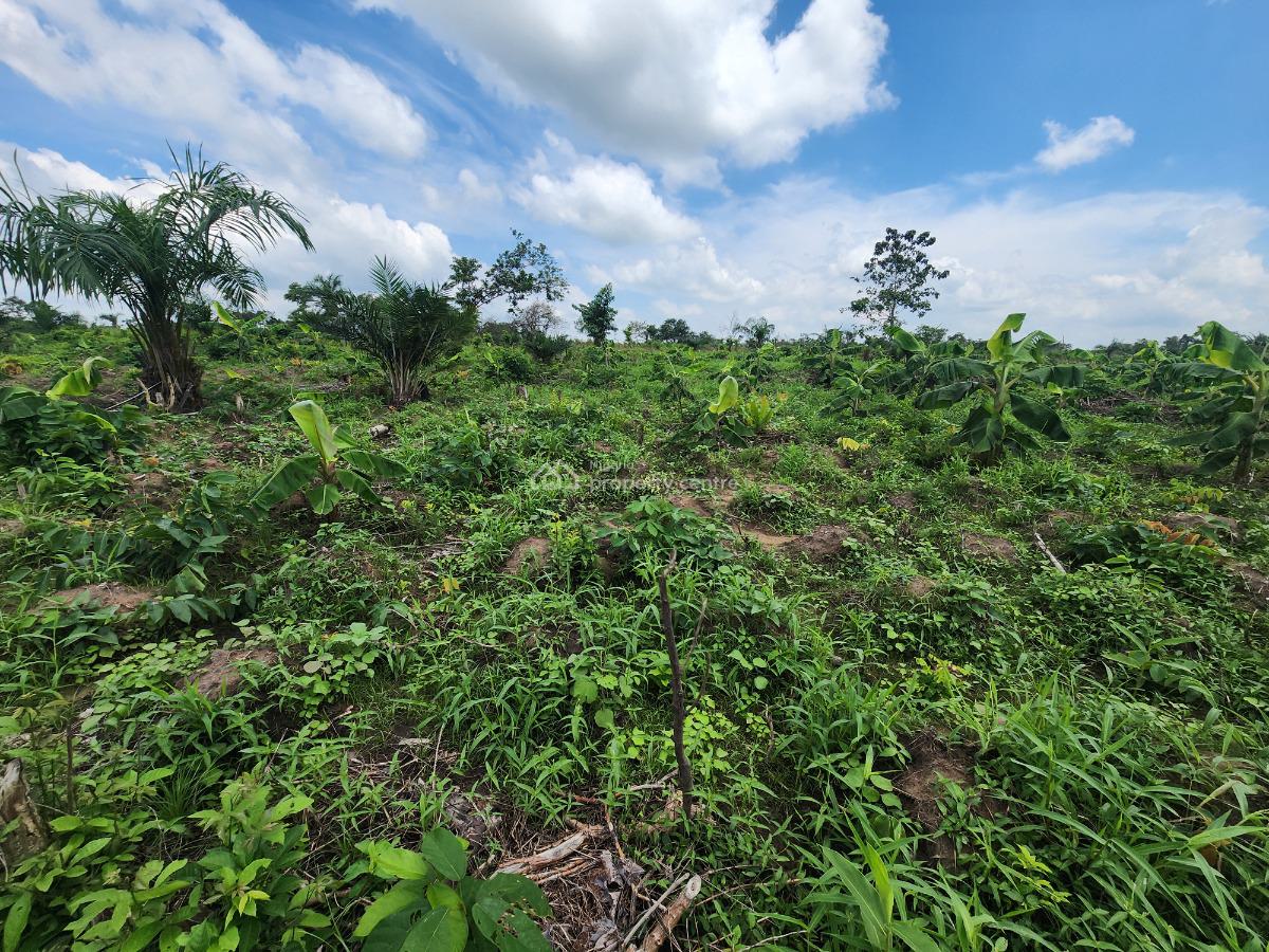 Earn Consistent Returns From Agriculture Without Daily Involvement, Off Funaab, Alabata Road, Odeda, Ogun, Mixed-use Land for Sale