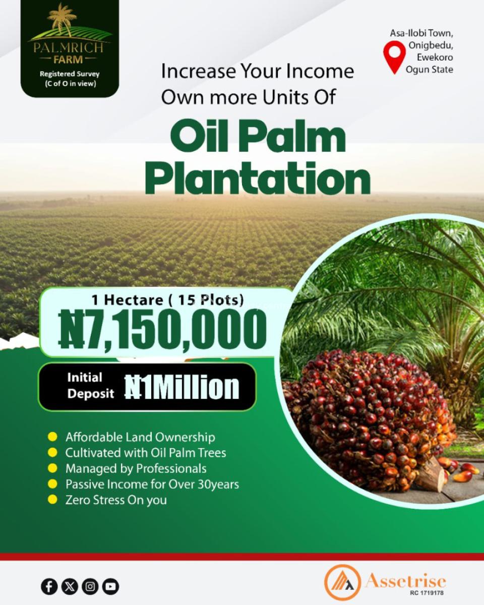 Palm Rich Estate  Phase 8, Palm Rich Phase 8 ,onigbedu Ewekoro ,ogun State, Ewekoro, Ogun, Mixed-use Land for Sale