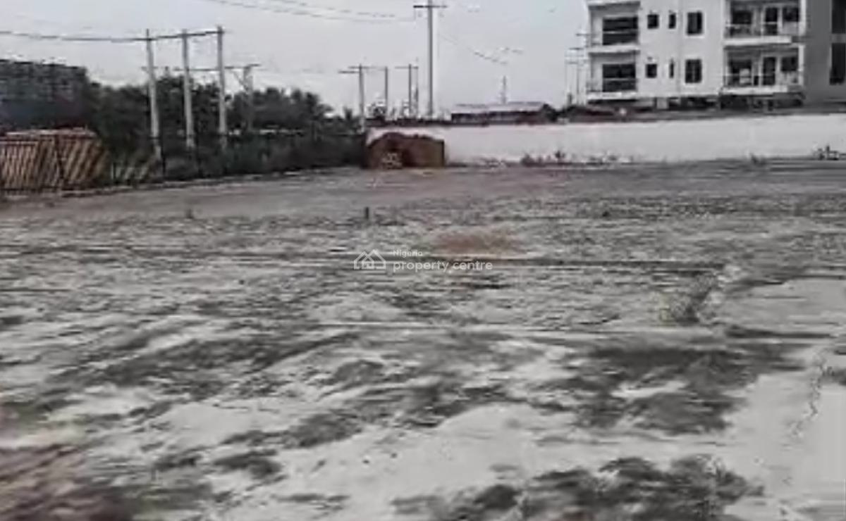 2300sqm Massive Land Facing The Express Road, Ikate, Lekki, Lagos, Land for Sale