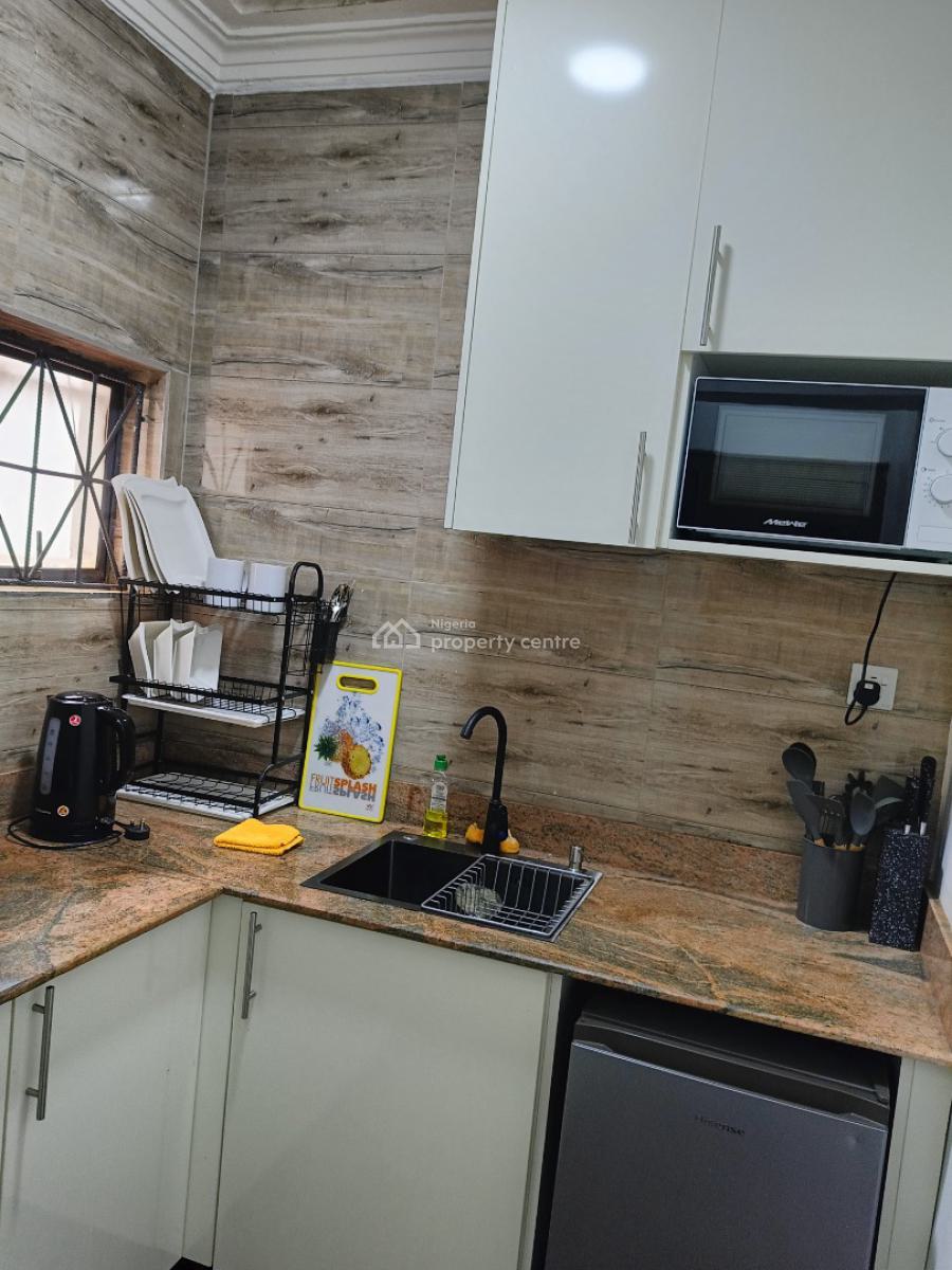 Fully Furnished Serviced 1 Bedroom Apartment, 11a Fez Street, Off Kumasi Crescent, Wuse 2, Abuja, Detached Duplex Short Let