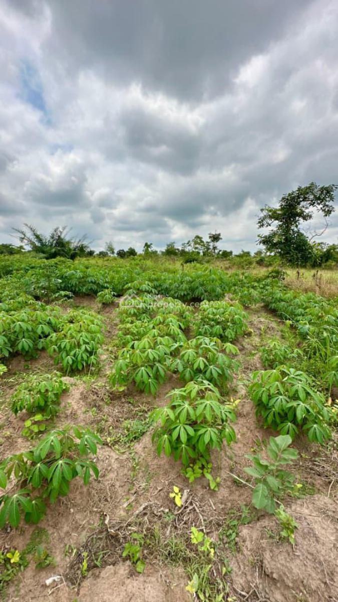 Farmland.  Plots and Acres Available, Ilewo-orile, Abeokuta North, Ogun, Land for Sale