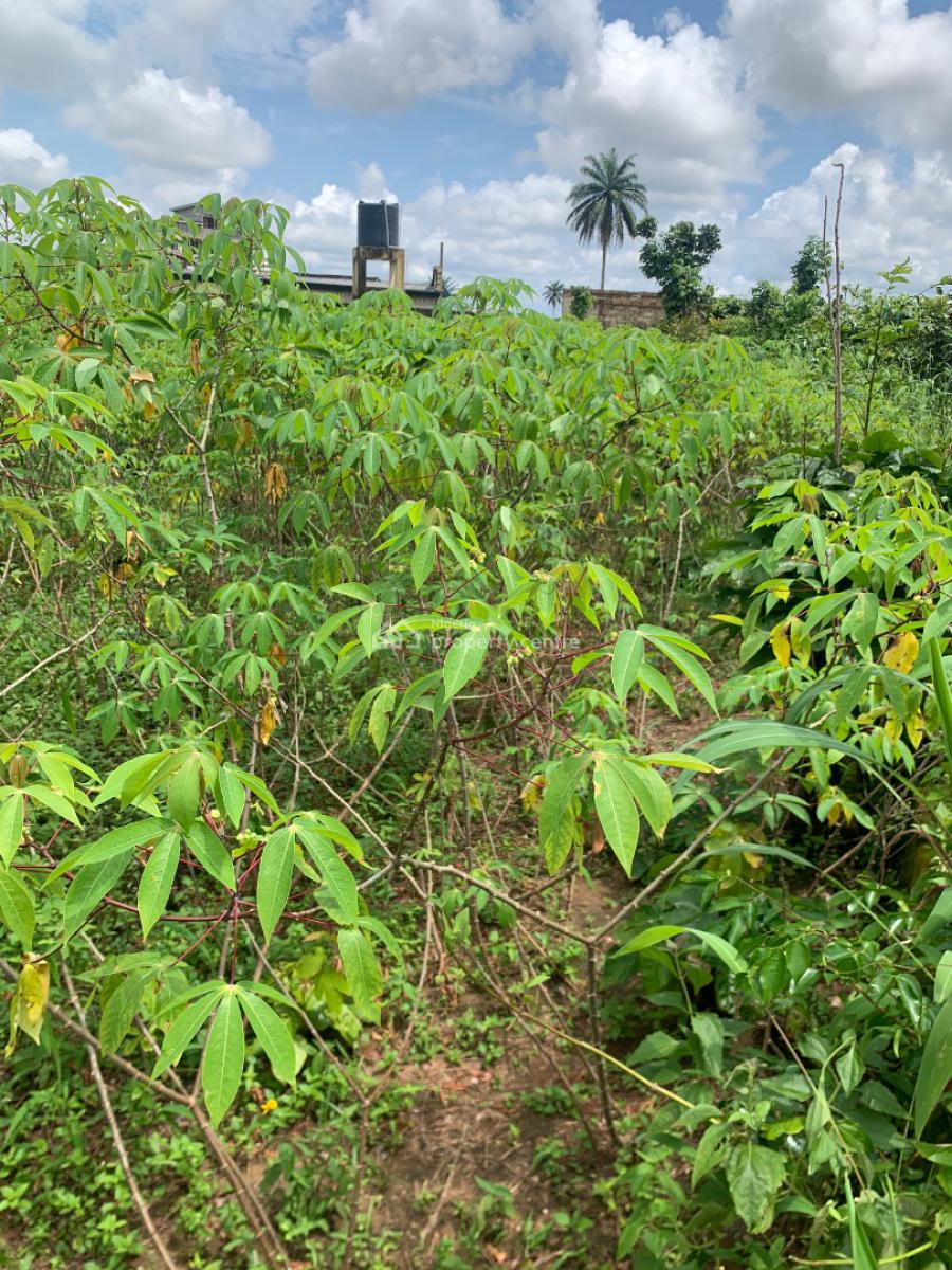 a Parcel of Land, Off Nsikan Street, Shelter Extension, Uyo, Akwa Ibom, Residential Land for Sale