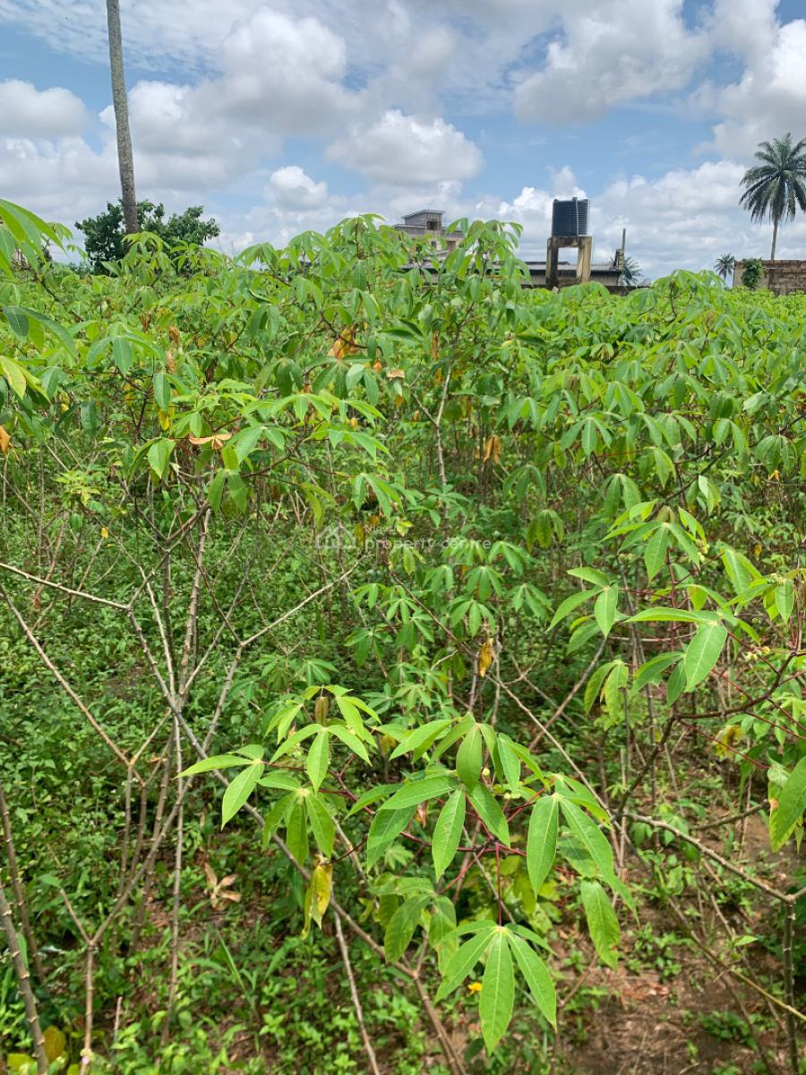 a Parcel of Land, Off Nsikan Street, Shelter Extension, Uyo, Akwa Ibom, Residential Land for Sale