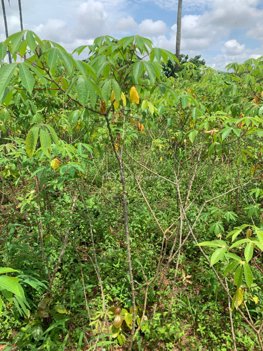a Parcel of Land, Off Nsikan Street, Shelter Extension, Uyo, Akwa Ibom, Residential Land for Sale
