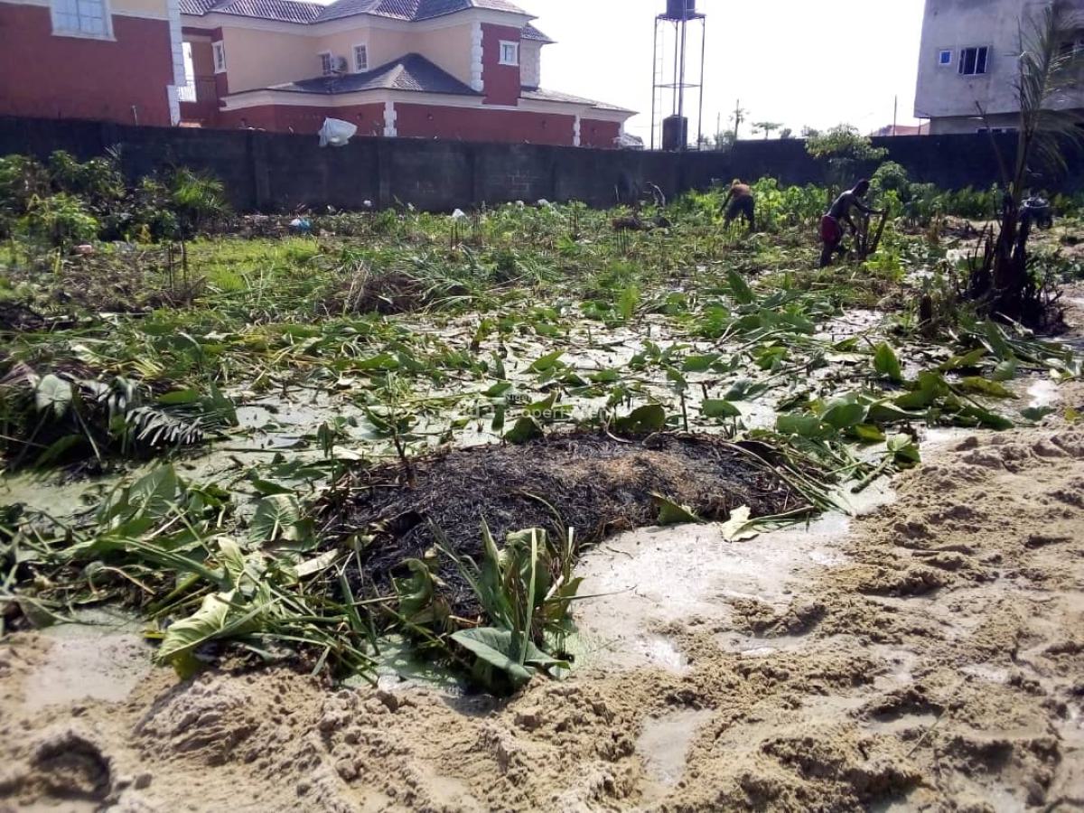 Standard Plot of Land, Badore, Ajah, Lagos, Commercial Land for Sale