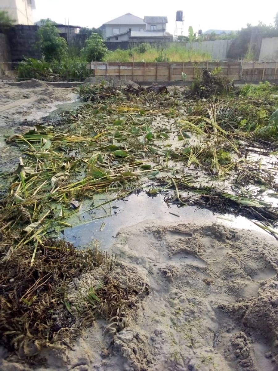 Standard Plot of Land, Badore, Ajah, Lagos, Commercial Land for Sale