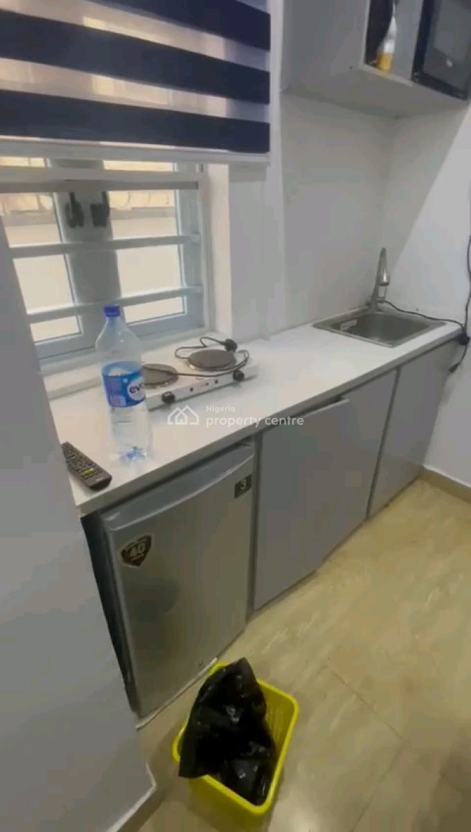 Furnished Standard and Executive Mini Flat Duplex, Shomolu-pedro, Pedro, Gbagada, Lagos, Mini Flat (room and Parlour) for Rent