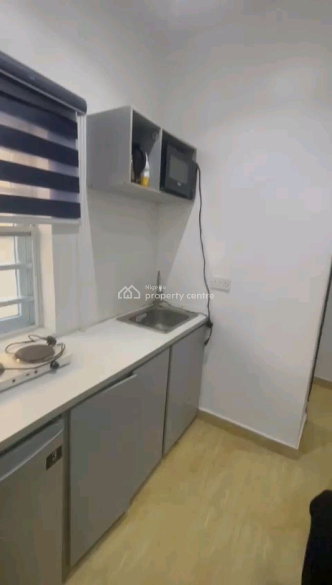 Furnished Standard and Executive Mini Flat Duplex, Shomolu-pedro, Pedro, Gbagada, Lagos, Mini Flat (room and Parlour) for Rent