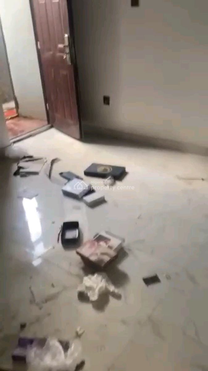 Standard and Executive Mini Flat Duplex, Olowora, Magodo, Lagos, Mini Flat (room and Parlour) for Rent