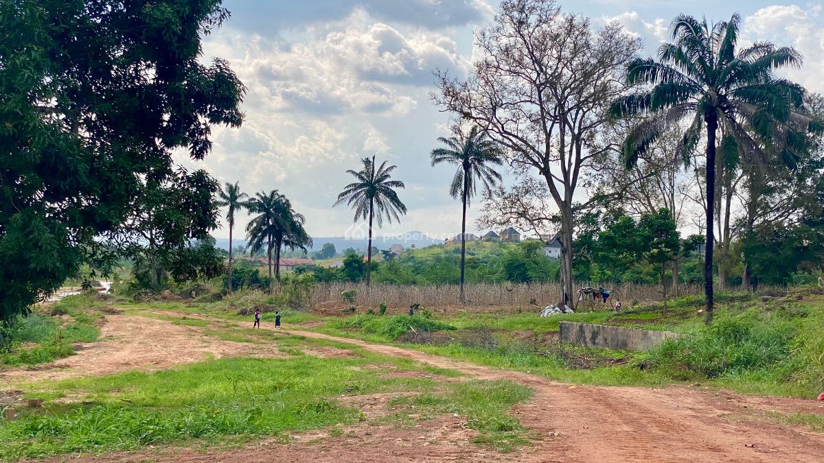 Mixed Use Land, Ibagwa Nike, Enugu, Enugu, Mixed-use Land for Sale