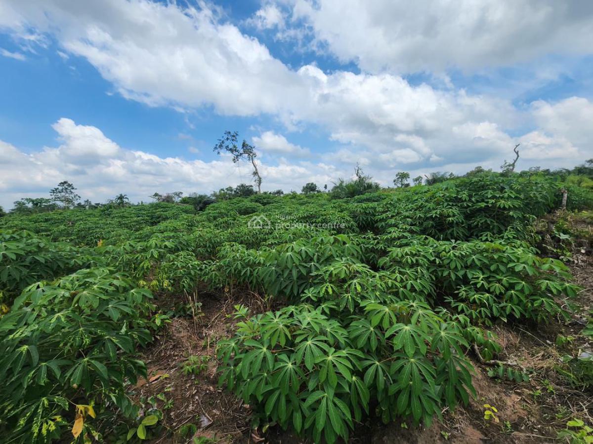 Looking to Own Farmland with Verified Documentation, Abeokuta North, Ogun, Residential Land for Sale