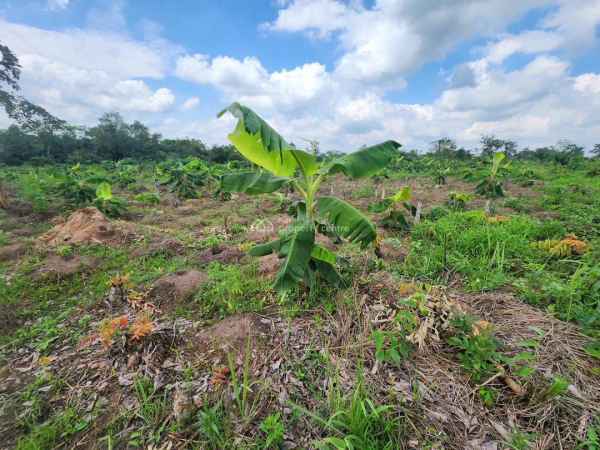 Looking to Own Farmland with Verified Documentation, Abeokuta North, Ogun, Residential Land for Sale
