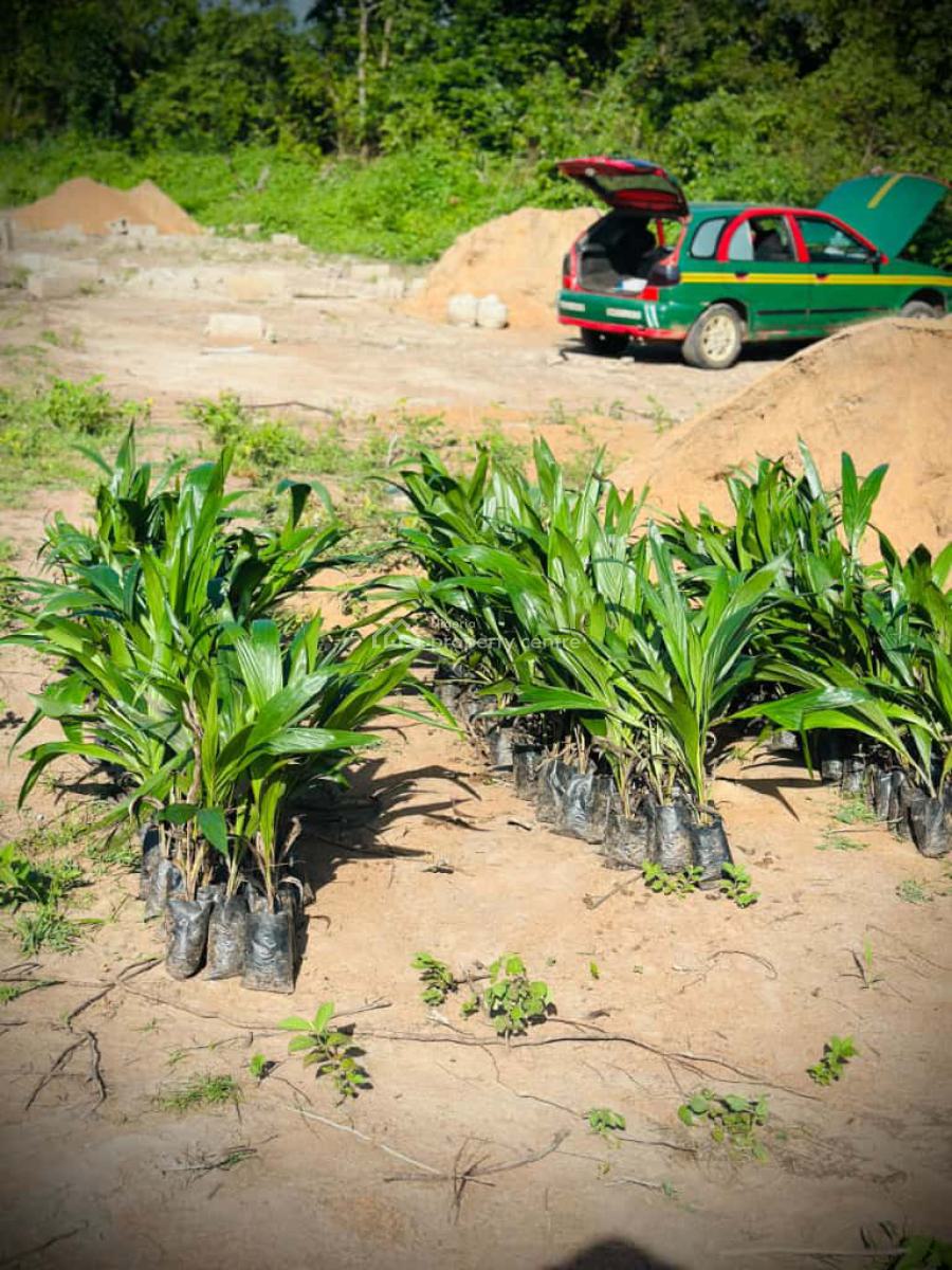 Looking to Own Farmland with Verified Documentation, Abeokuta North, Ogun, Residential Land for Sale