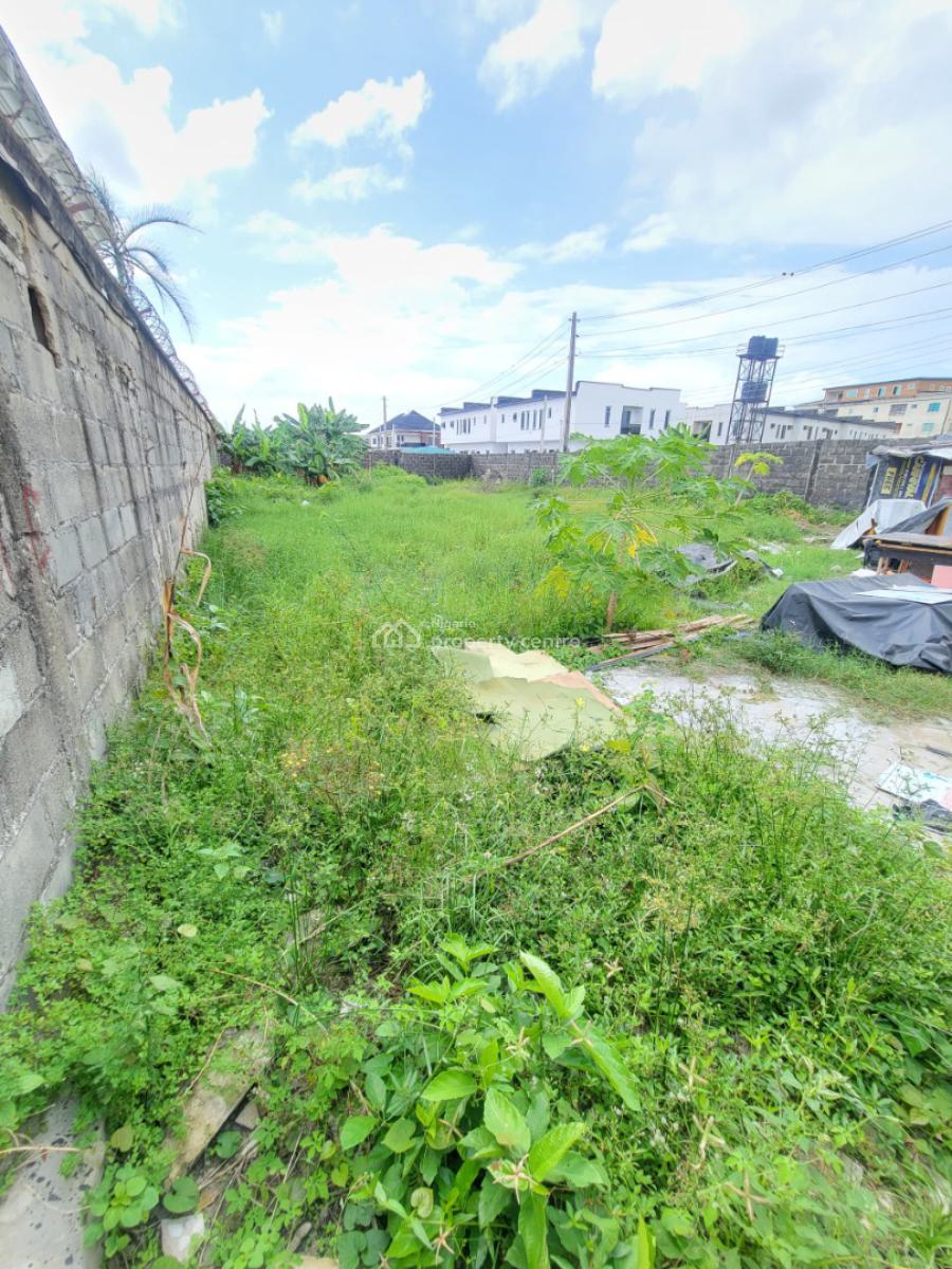 a Full Plot of Land, General Painting, Abraham Adesanya, Ajah, Lagos, Mixed-use Land Short Let