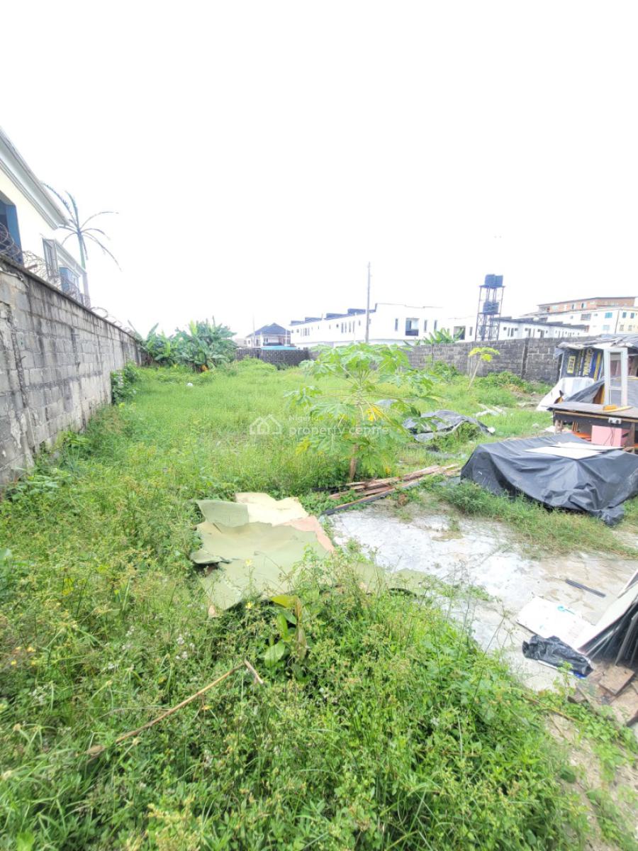 a Full Plot of Land, General Painting, Abraham Adesanya, Ajah, Lagos, Mixed-use Land Short Let