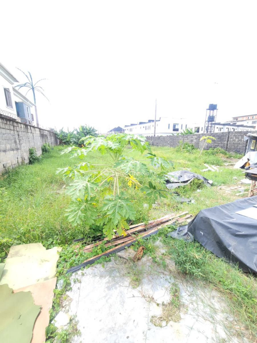 a Full Plot of Land, General Painting, Abraham Adesanya, Ajah, Lagos, Mixed-use Land Short Let