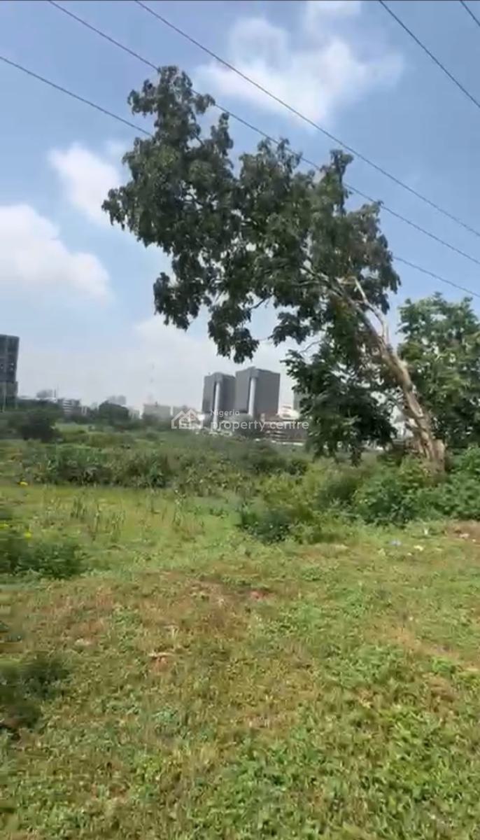 4.5 Hectares Land, Opposite Cedi Plaza, Central Business District, Abuja, Commercial Land for Sale