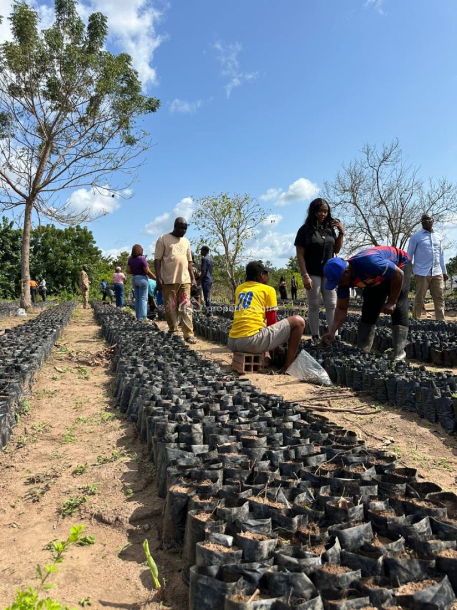 Own a Couple of Palm Trees in Palm Crest, Imeko Afon, Ogun, Land for Sale