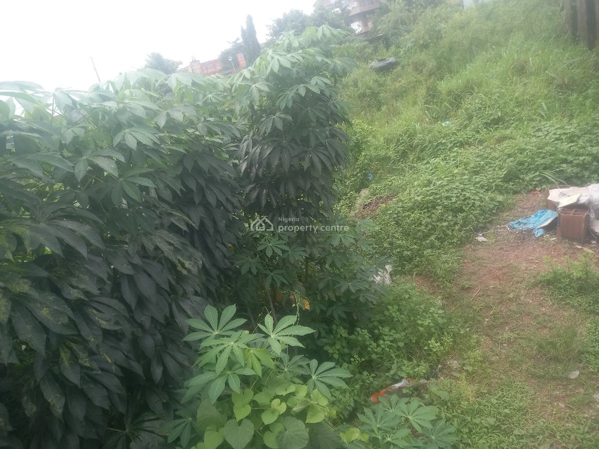 250sqm Land with Driveway with C of O, Maplewood Estate, Oko-oba, Agege, Lagos, Residential Land for Sale