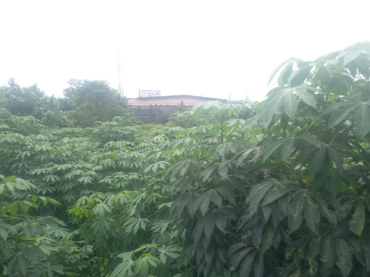 703sqm Mixed Used Land with C of O, Greenhill Estate, Oko-oba, Agege, Lagos, Mixed-use Land for Sale