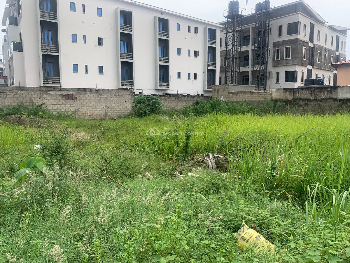 910sqm Land in a Tarred Interlocked Road to The Express (developer Choice), Ikate, Ikate Elegushi, Lekki, Lagos, Residential Land for Sale