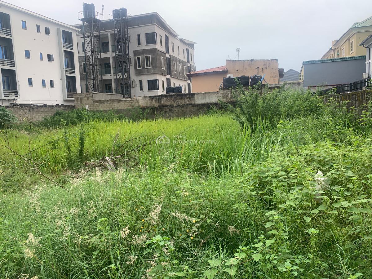 910sqm Land in a Tarred Interlocked Road to The Express (developer Choice), Ikate, Ikate Elegushi, Lekki, Lagos, Residential Land for Sale