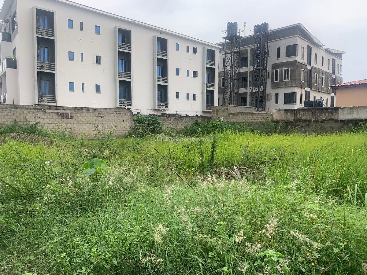 910sqm Land in a Tarred Interlocked Road to The Express (developer Choice), Ikate, Ikate Elegushi, Lekki, Lagos, Residential Land for Sale