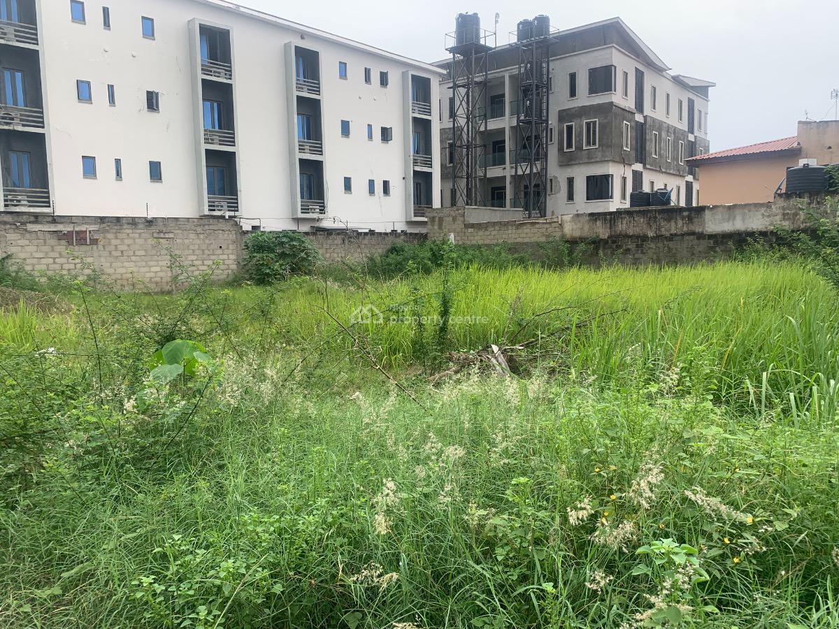 910sqm Land in a Tarred Interlocked Road to The Express (developer Choice), Ikate, Ikate Elegushi, Lekki, Lagos, Residential Land for Sale